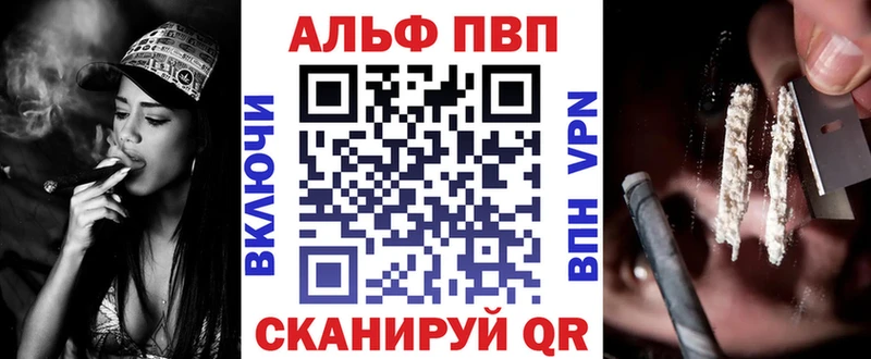Альфа ПВП СК  Красавино 