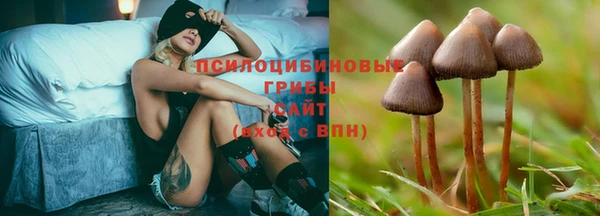 твердый Нея