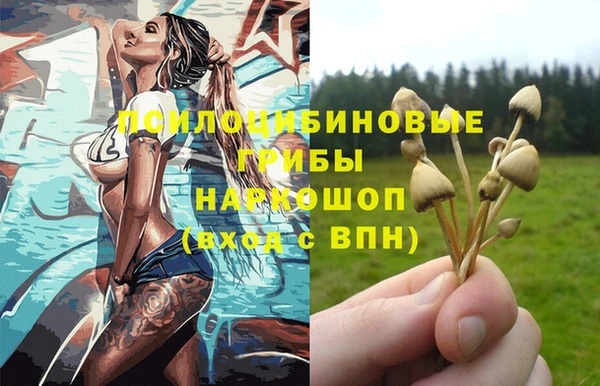 твердый Нея